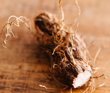 Priprioca: o ativo amazônico que transforma sua rotina de skincare